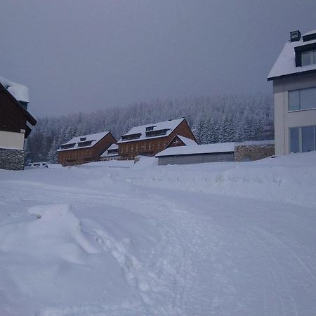 Apartman Horni Misecky - Luxusni Ubytovani Pro Dve Rodiny S Detmi Buitenkant foto