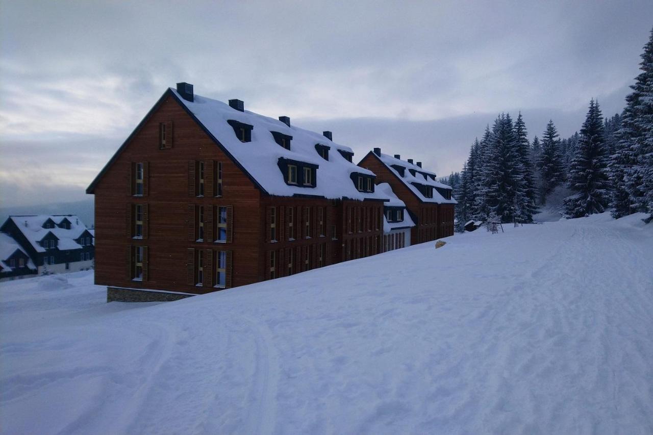 Apartman Horni Misecky - Luxusni Ubytovani Pro Dve Rodiny S Detmi Buitenkant foto